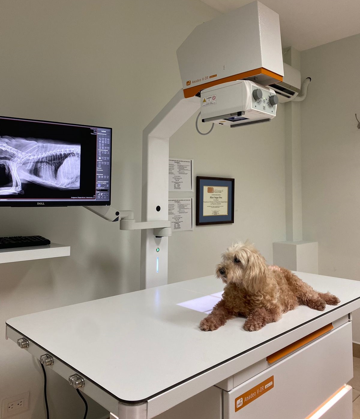 Radiología