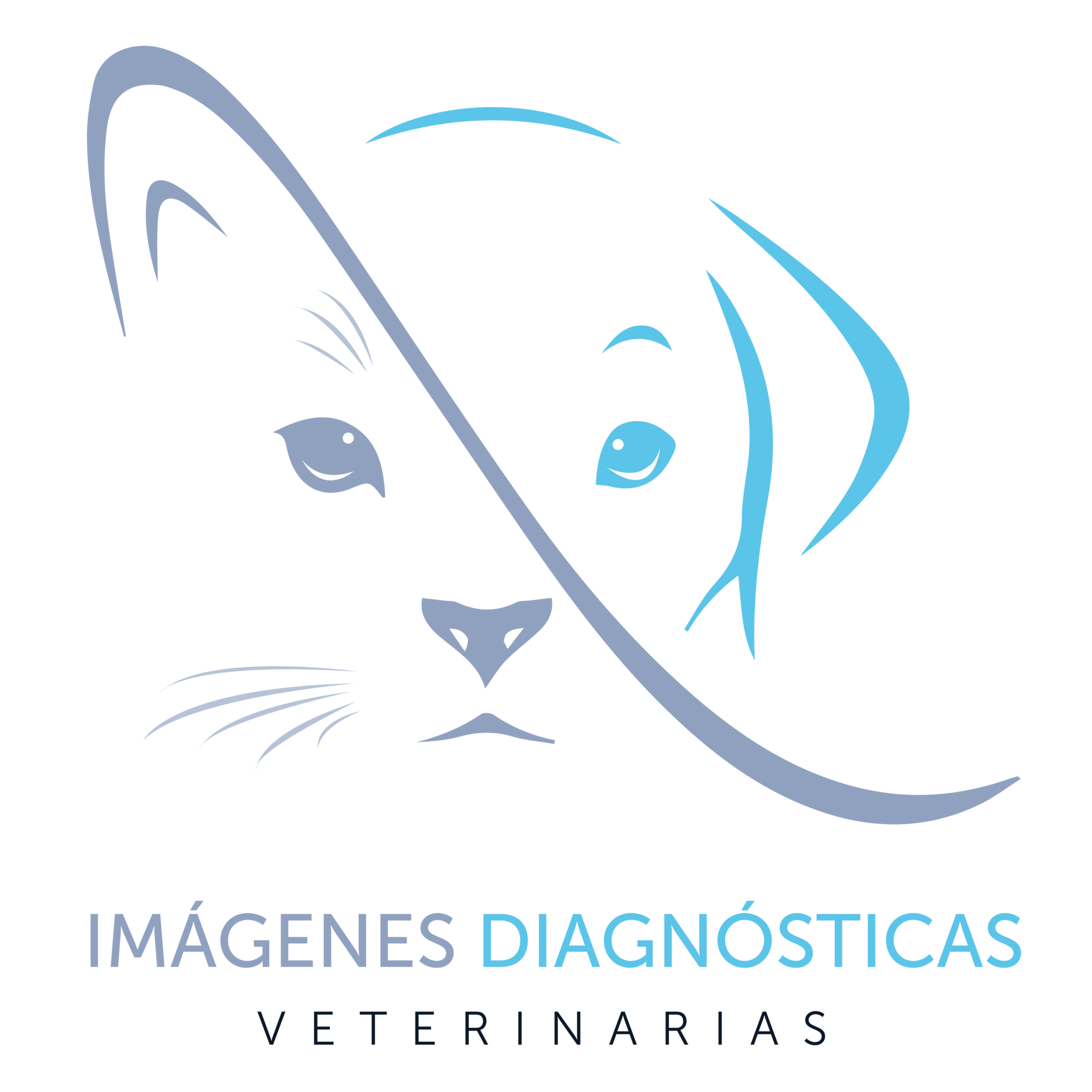 Imadiavet Logo