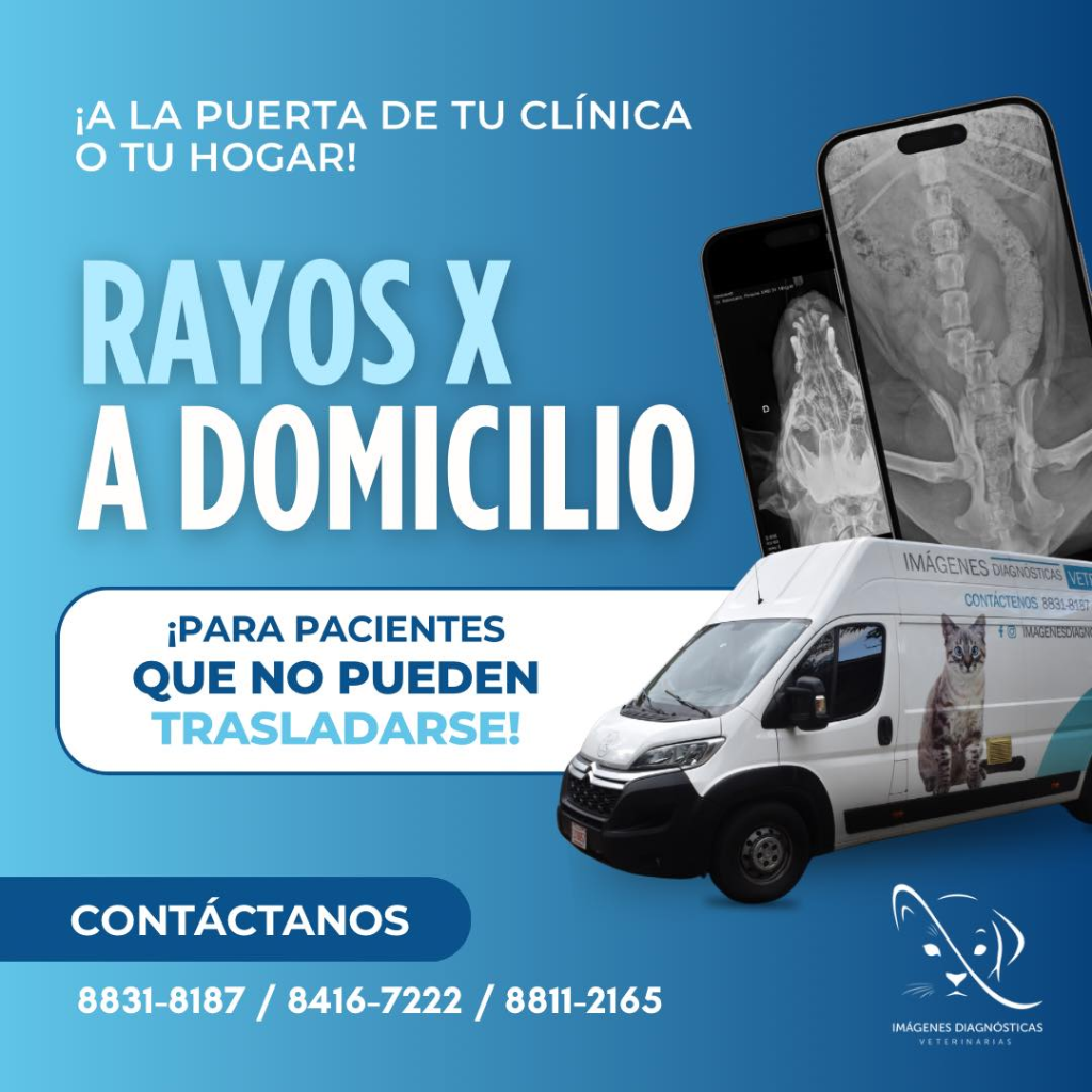 Rayos X a Domicilio