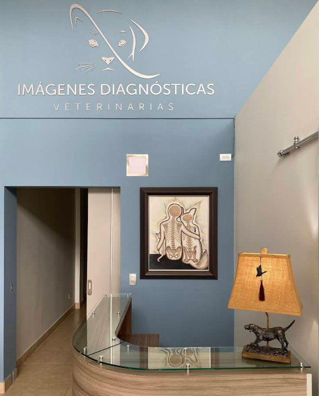 Recepción Imadiavet